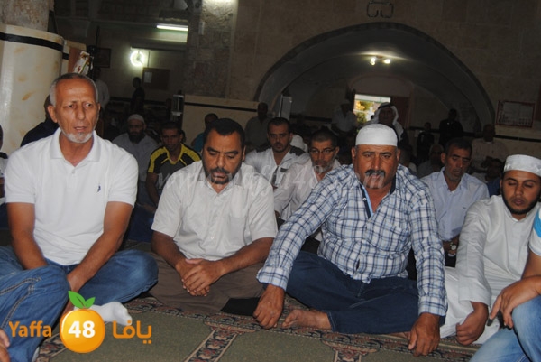 qerm ramla 3ed (23).JPG